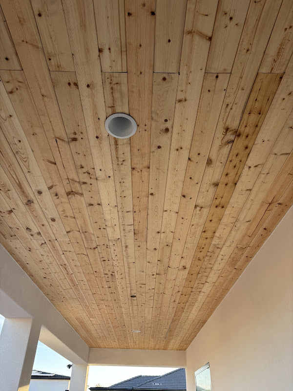 Lopez Patio Ceiling